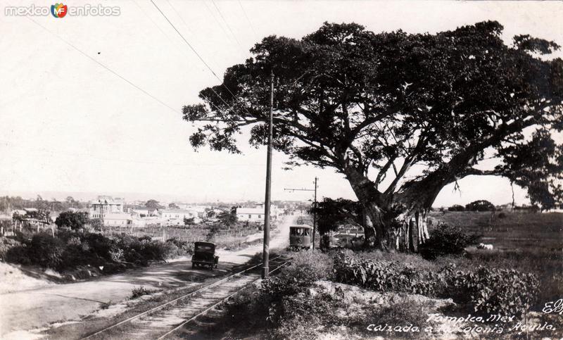 Calzada a la colonia El Aguila - Tampico, Tamaulipas (MX13229838191356)