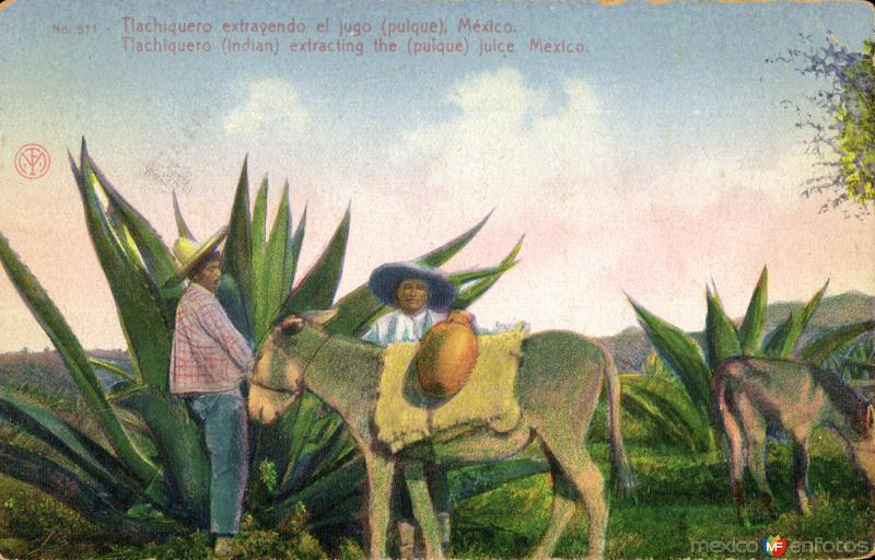 Tlachiquero extrayendo el pulque