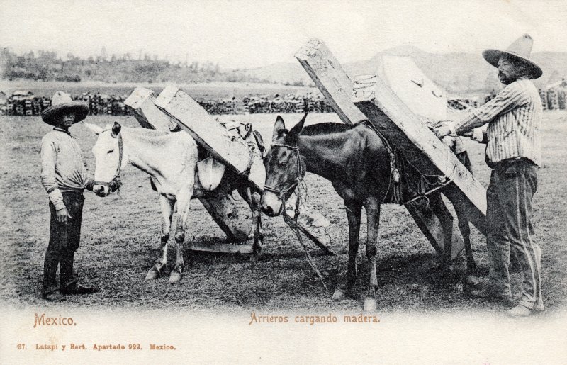 Arrieros cargando madera