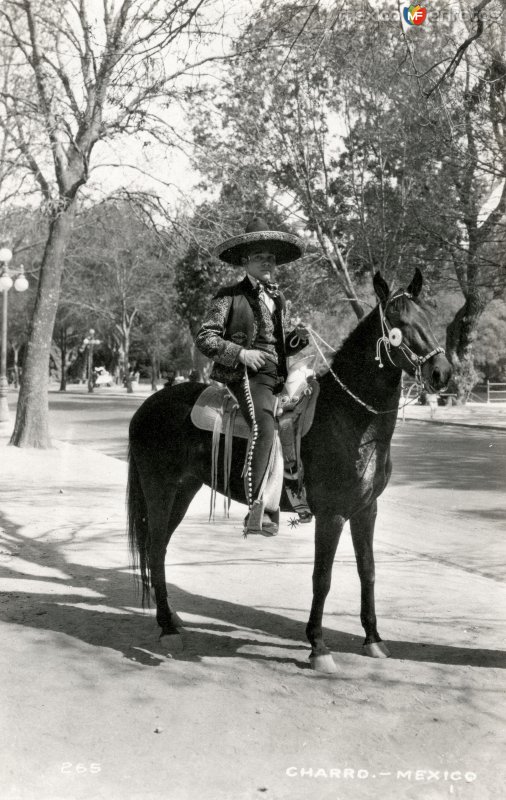 Charro mexicano