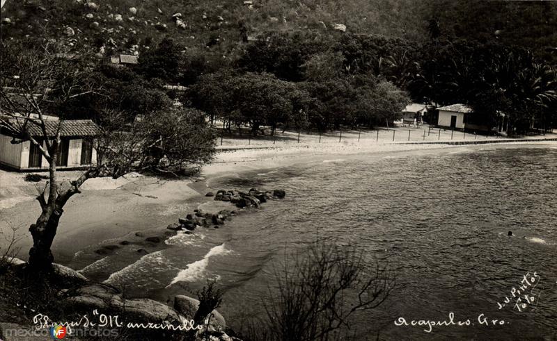 Playa de Manzanillo