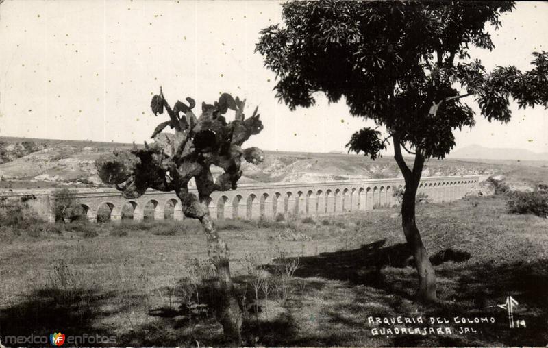 Arquería del Colomo