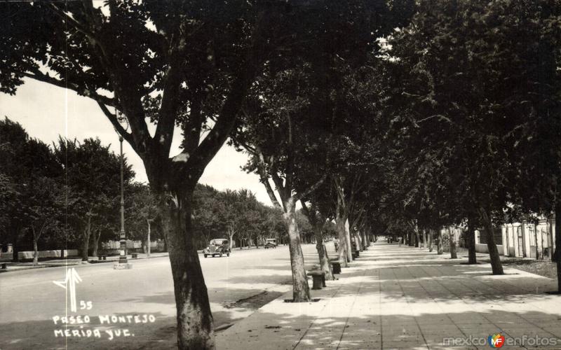 Paseo Montejo