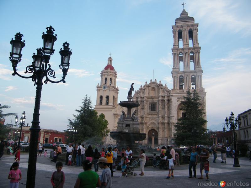 Saltillo