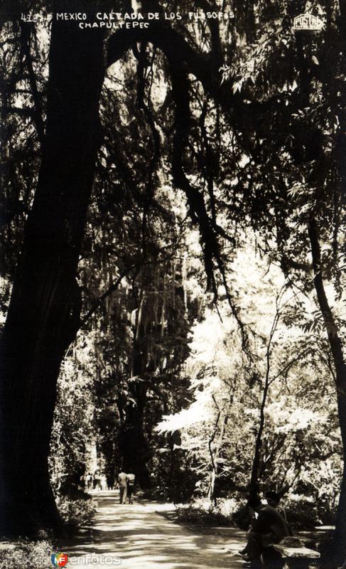 Calzada de los Filósofos, en Chapultepec