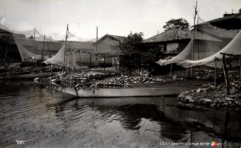 Lago de Pátzcuaro