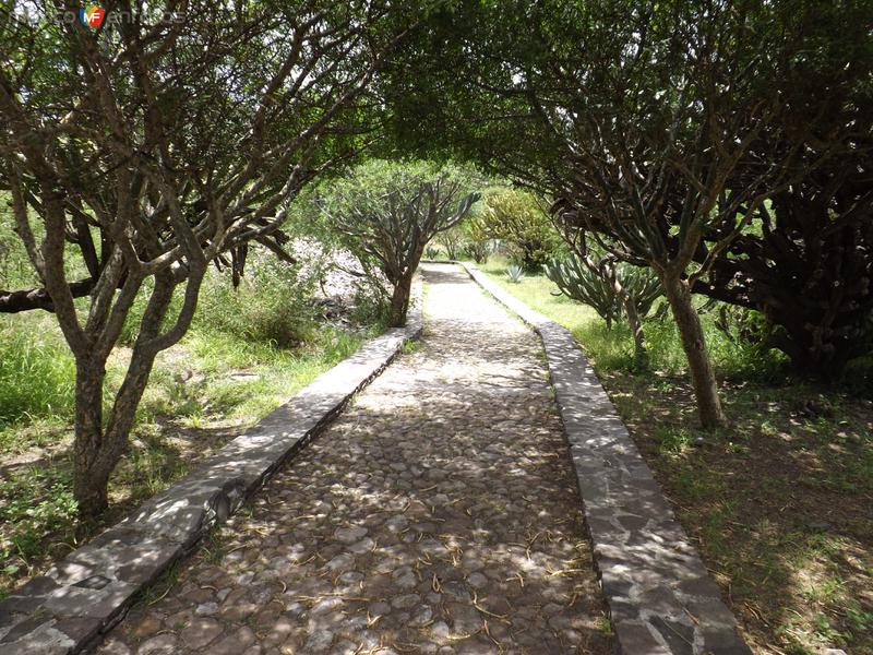 Sendero en la zona arqueológica El Pueblito. Agosto/2012