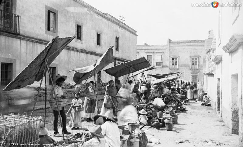 Mercado en la Calle de la Academia y República de Guatemala (por William Henry Jackson, c. 1888)