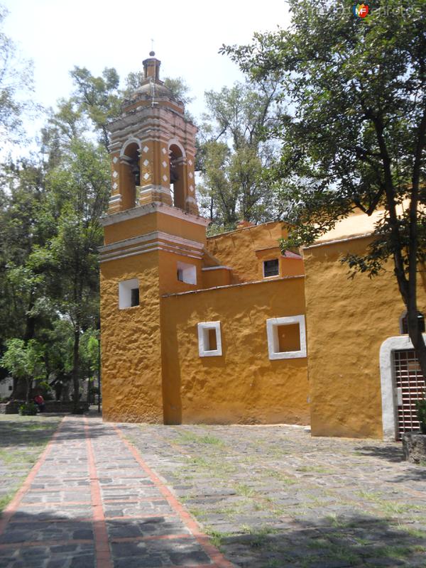 Fotos de Ciudad de México, Distrito Federal, México: Coyoacán