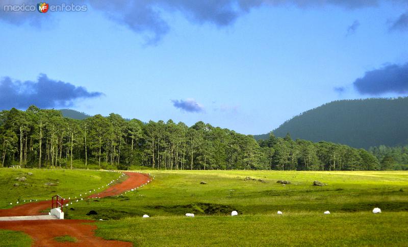 El Llano del Conejo