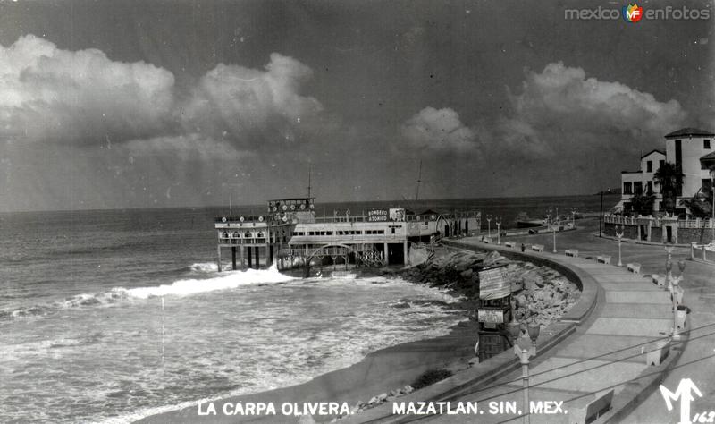 La Carpa Olivera