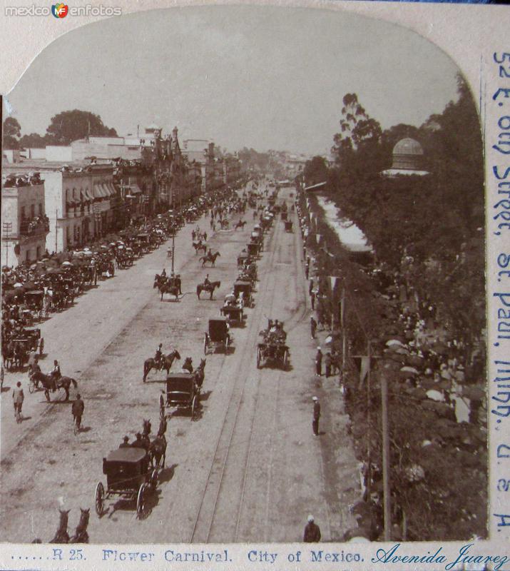 Ave. Juarez Carnaval de Flores