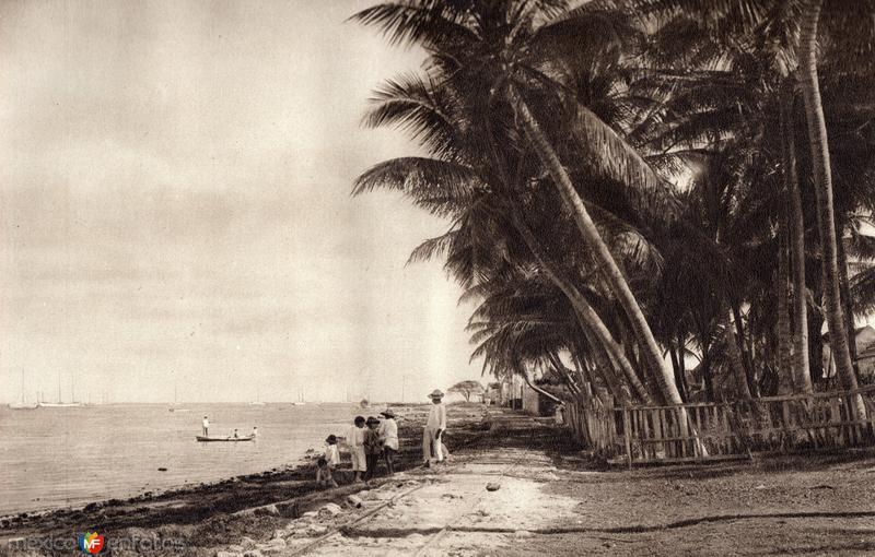 Costa de Campeche (circa 1920)