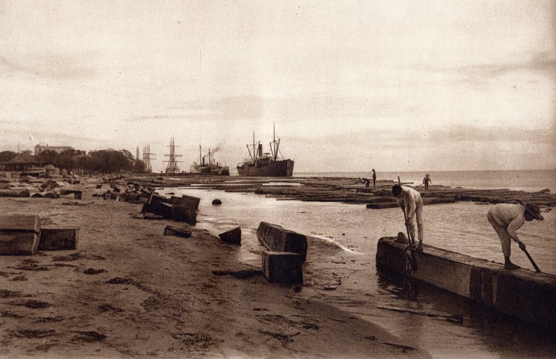 Laguna de Términos (circa 1920)