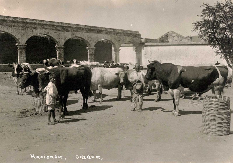 Cerca de Juchitan Una Hacienda