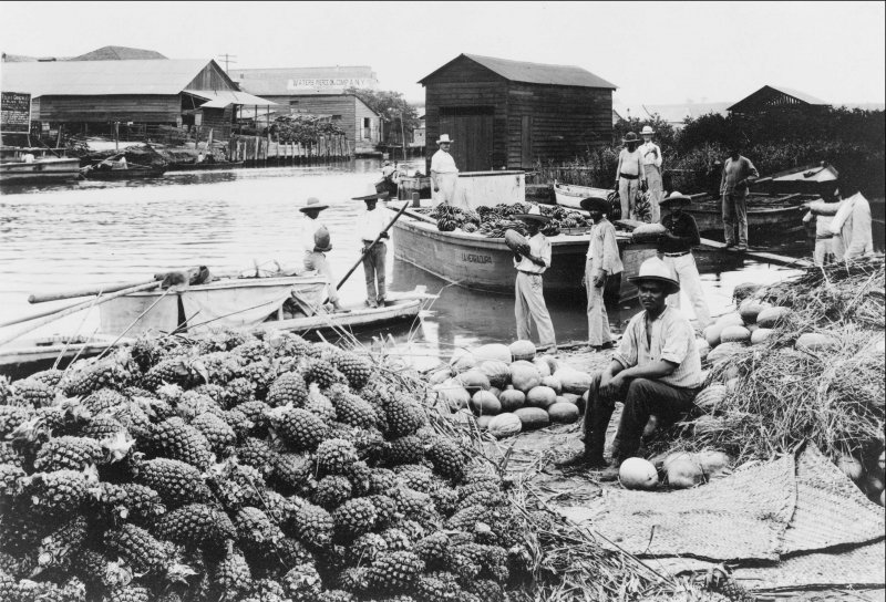 Cargando Piñas