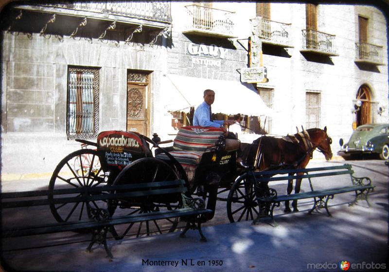 Un Turista