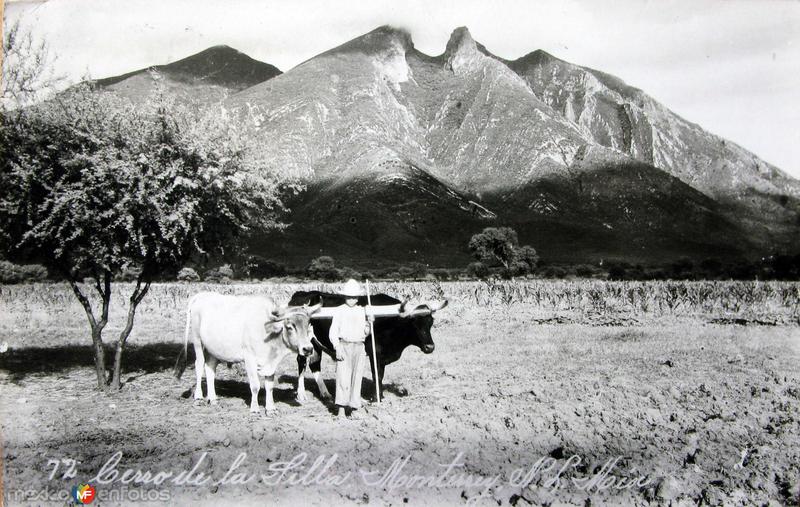 Cerro de la Silla