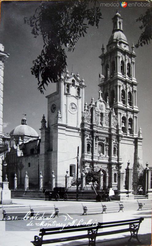 la Catedral