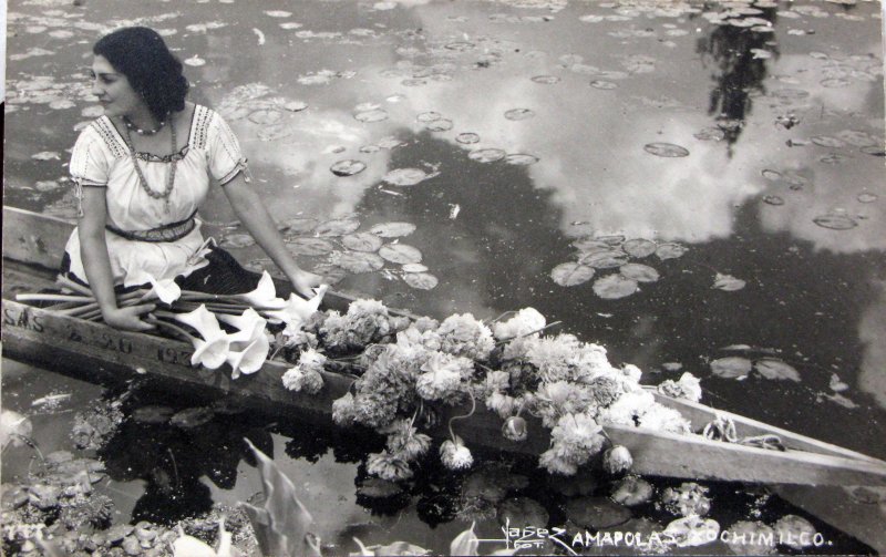 Amapolas de Xochimilco