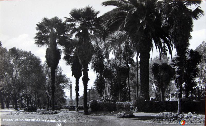 Paseo de la Reforma