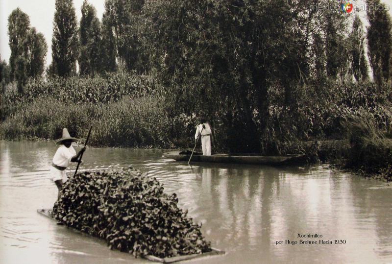 Xochimilco Por el fotografo HUGO BREHME