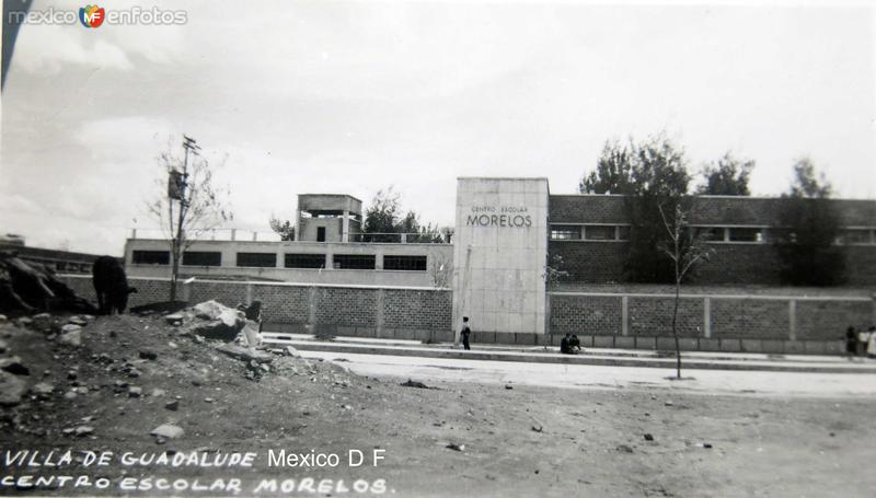 Centro escolar Morelos notece un puerco