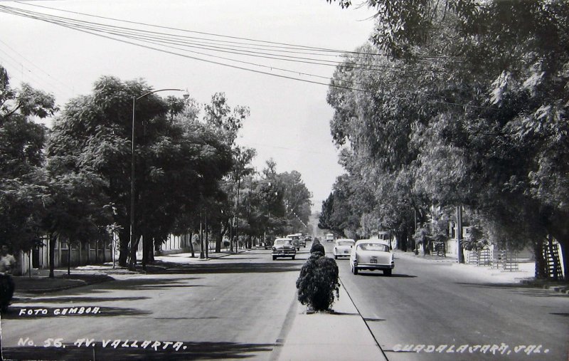 AVENIDA VALLARTA