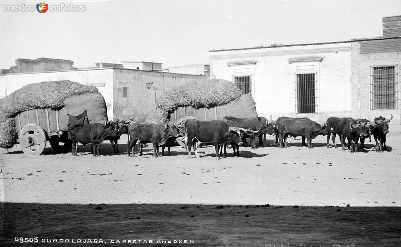 Carreta de bueyes en Guadalajara (por William Henry Jackson, c. 1887)