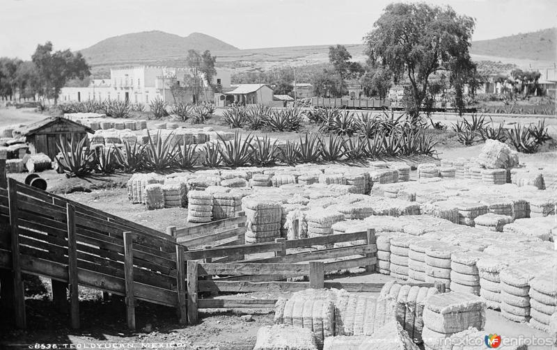 Vista de Teoloyucan (por William Henry Jackson, c. 1888)