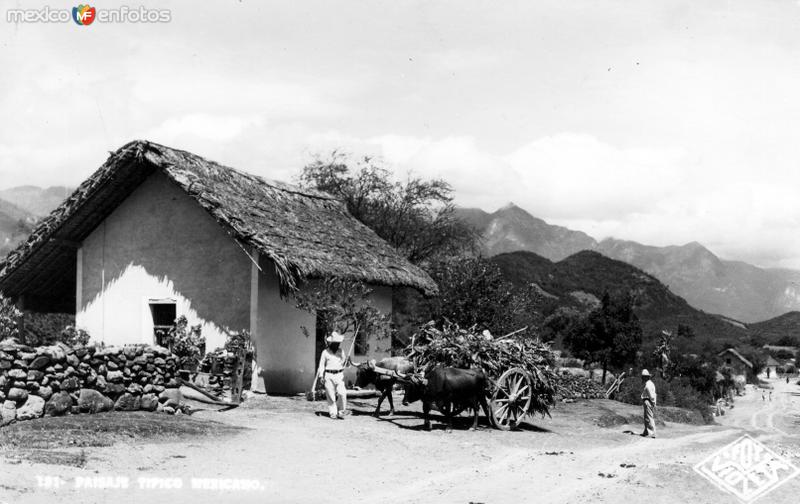 Alrededores de Monterrey