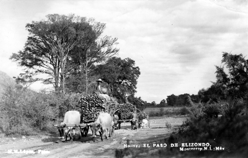 El Paso de Elizondo