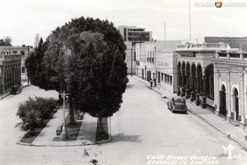 Calle Alvaro Obregón