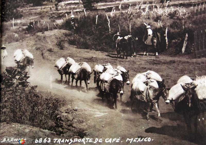 TRANSPORTE DE CAFE por el fotografo HUGO BREHME