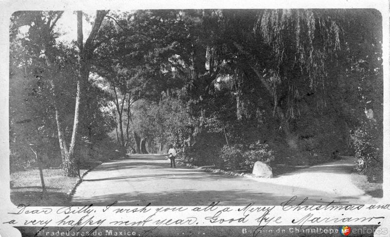 Bosque de Chapultepec