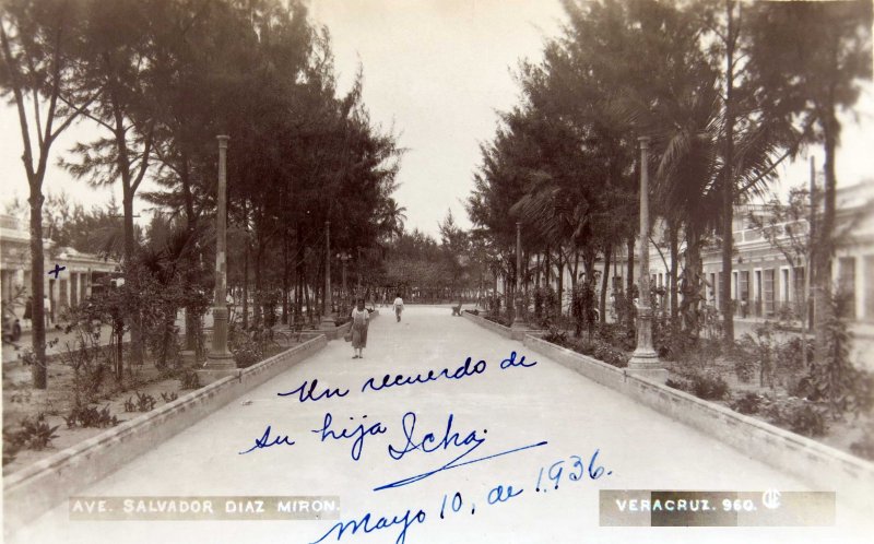 AVENIDA SALVADOR DIAZ MIRON