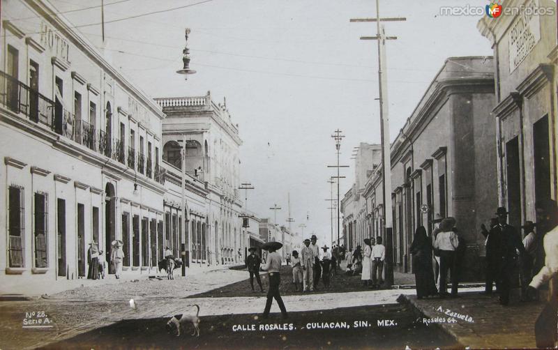 CALLE DE ROSALES