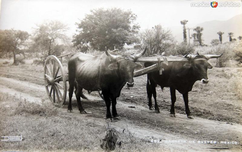 TIPOS MEXICANOS CARRETA