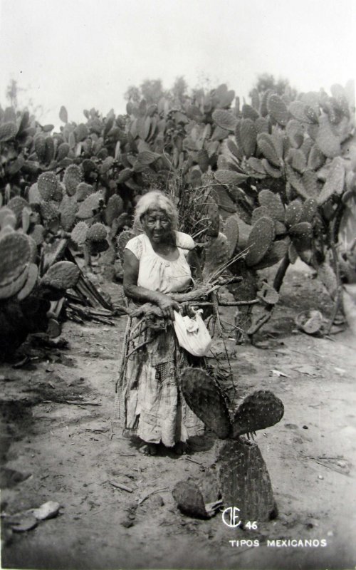 TIPOS MEXICANOS LENERA