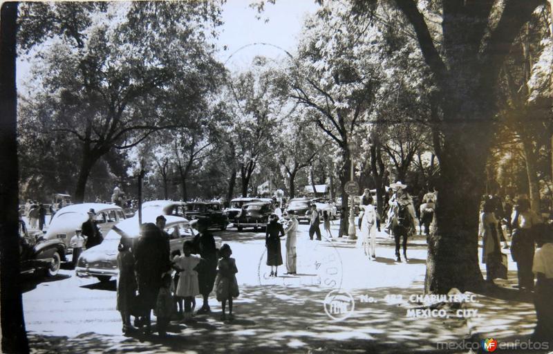 PARQUE DE CHAPULTEPEC