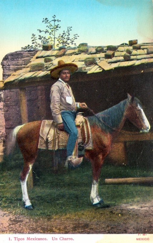 Charro mexicano