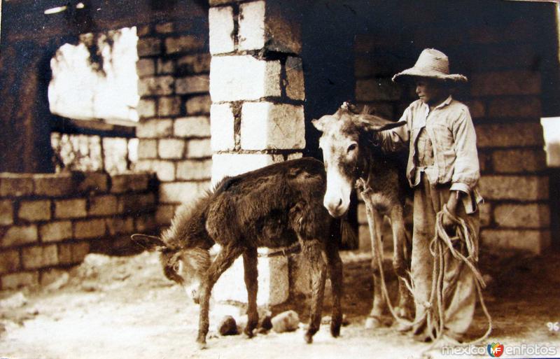 TIPOS MEXICANOS Nino nativo