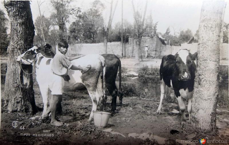 TIPOS MEXICANOS granjero