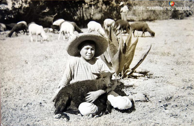 TIPOS MEXICANOS El Pastorcito