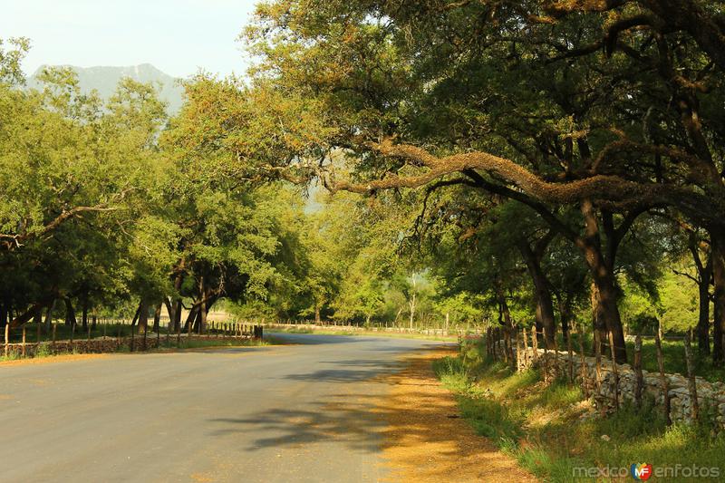 POR LOS CAMINOS DE SANTIAGO