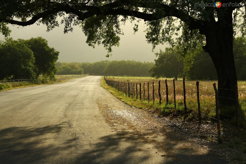 POR LOS CAMINOS DE SANTIAGO