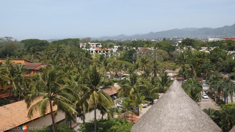 Palmar en la zona hotelera. Abril/2015