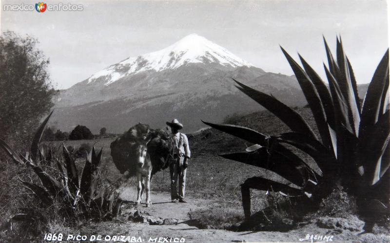 EL PICO por el fotografo HUGO BREHME