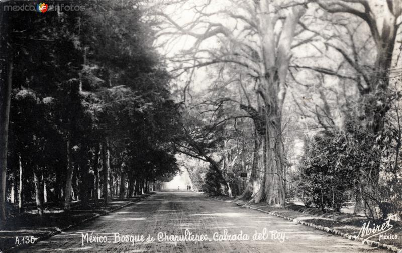 Calzada del Rey, en el Bosque de Chapultepec