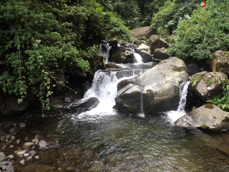 Un afluente del Río Coatán. Julio/2015